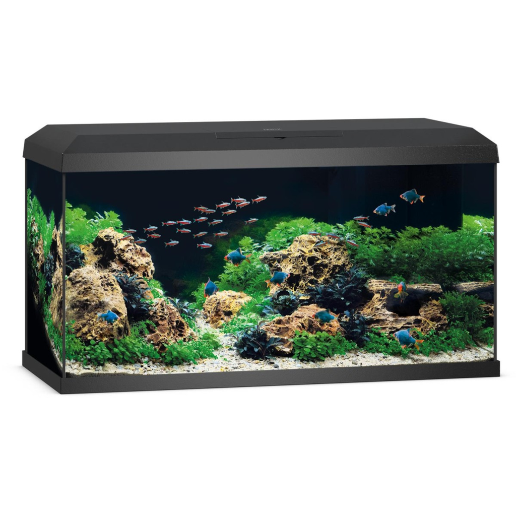 JUWEL Primo 110 LED 2.0 Black