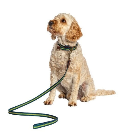 Danish Design FatFace Bold Stripe Woven Dog Lead BLUE/2CM Medium