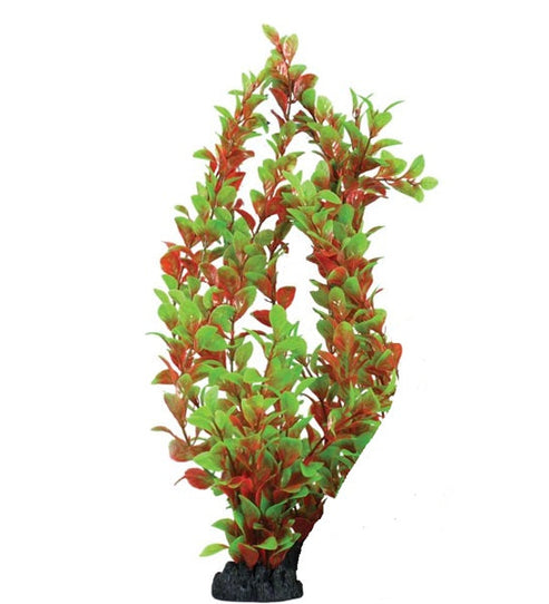 Hugo Kamishi Ludwigia Aquarium Plant Décor - RED&GREEN/30CM