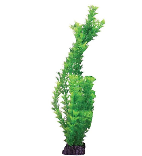 Hugo Kamishi Hornwort Aquarium Plant Décor - GREEN/40CM