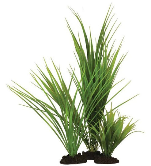 Hugo Kamishi Variegated Rush Aquarium Plant Décor - GREEN/40CM