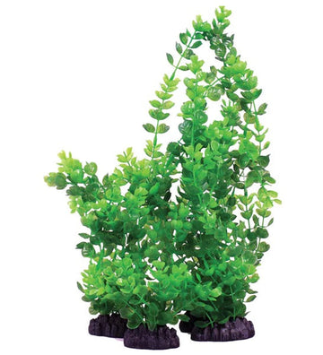 Hugo Kamishi Rotala Indica Aquarium Plant Décor - GREEN/9CM