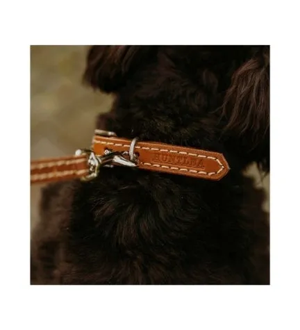 Huntlea Leopard Leather Dog Collar - BURGUNDY/500X20MM