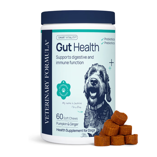 Synergy Labs Veterinary Formula Gut Health Formulated Probiotic Chews Supplement for Dogs ‚Äì 225g [Count - 60]