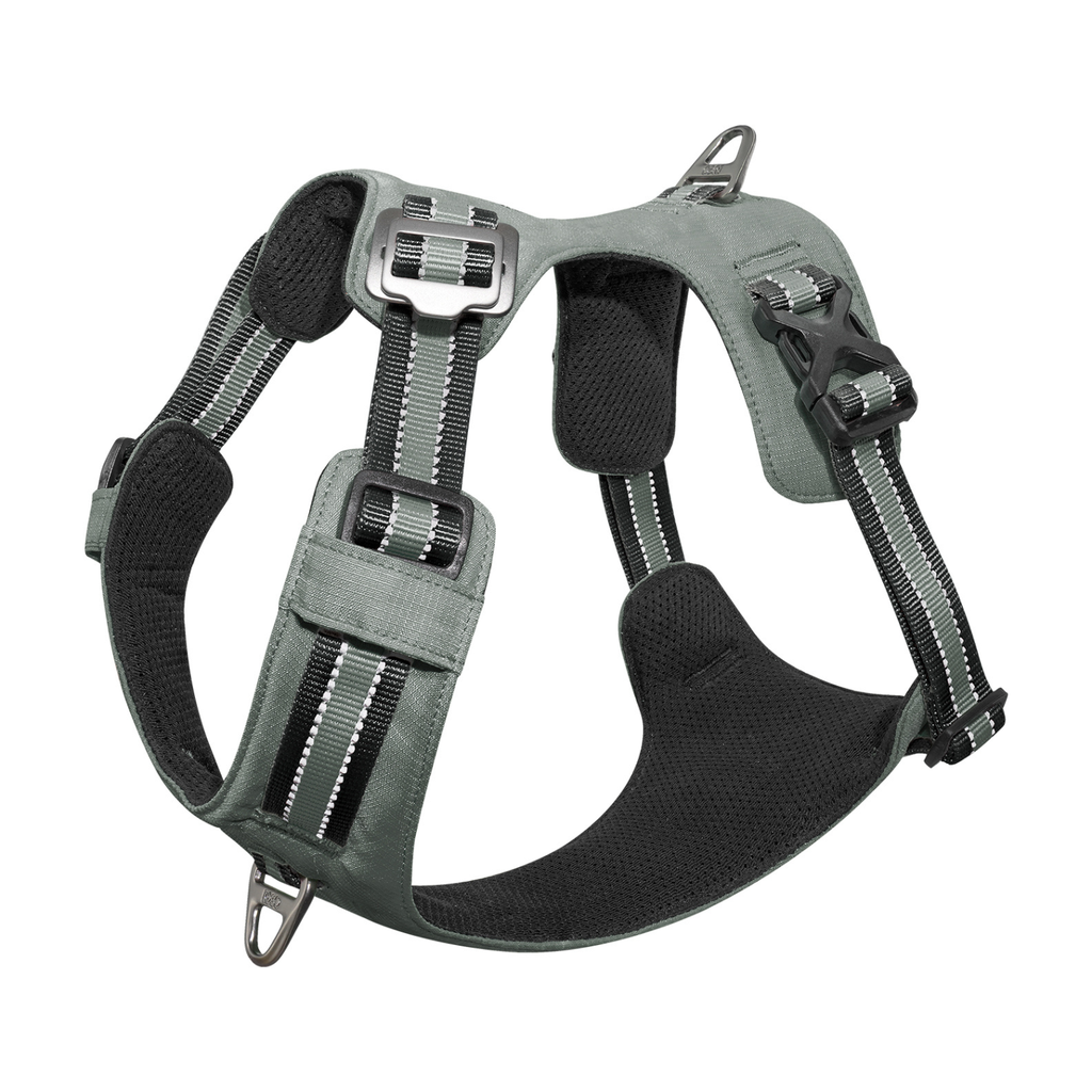 Doco VERTEX Reflective Ultralight Mesh Harness Large [Neck 48-59cm;Chest 62]-Iceland