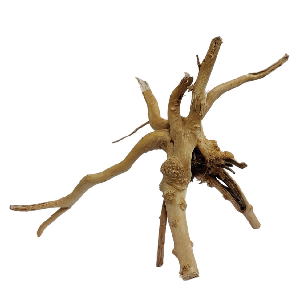 Aqualife Little Tree Root 1 Kg