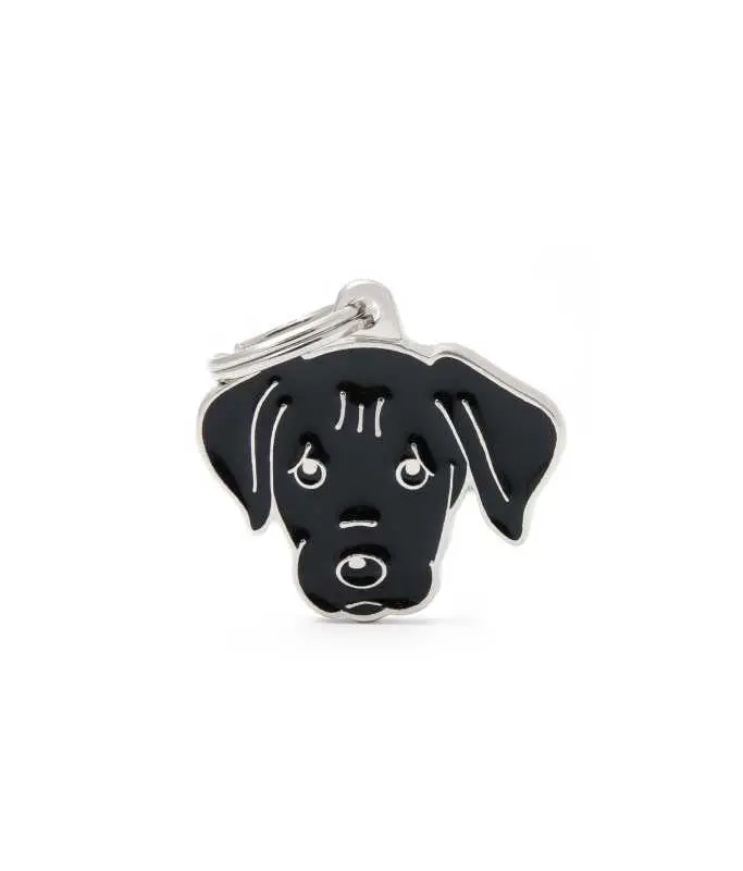 My Family BLACK LABRADOR