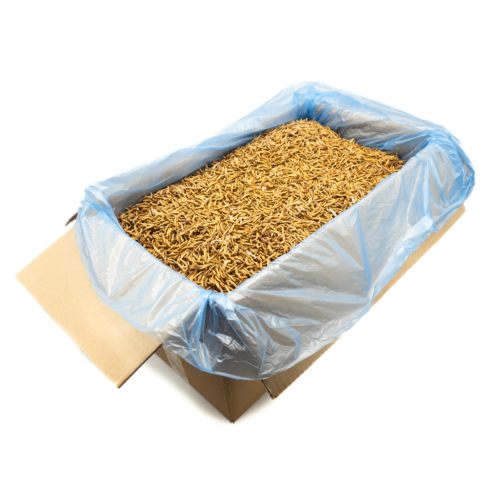 Kiezebrink Frozen Mealworms 15 kg