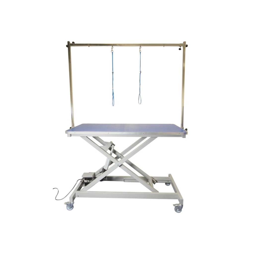 Burtons Electric Inclined-strut Grooming Table