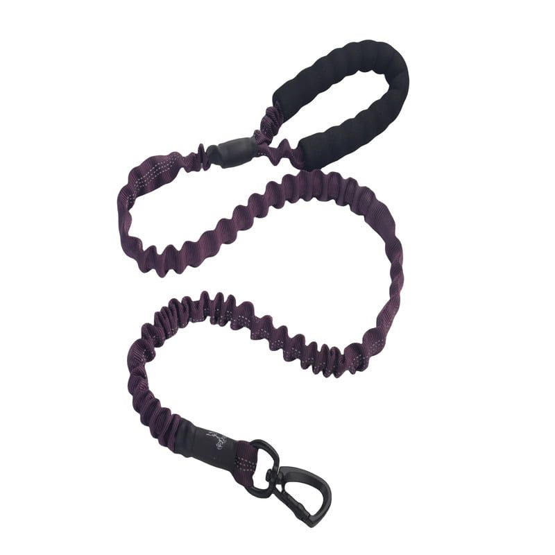 Helepet Non Pull Elastic Dog Bungee Leash - L- 25mm*1200mm - PURPLE