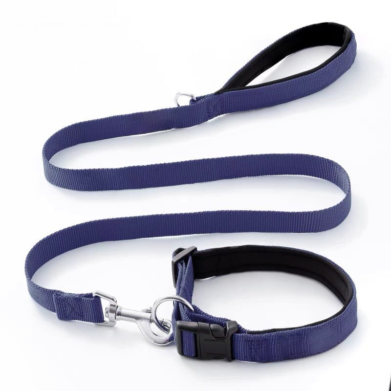 Helepet Nylon  Dog Leash Collar Set - L, BLUE