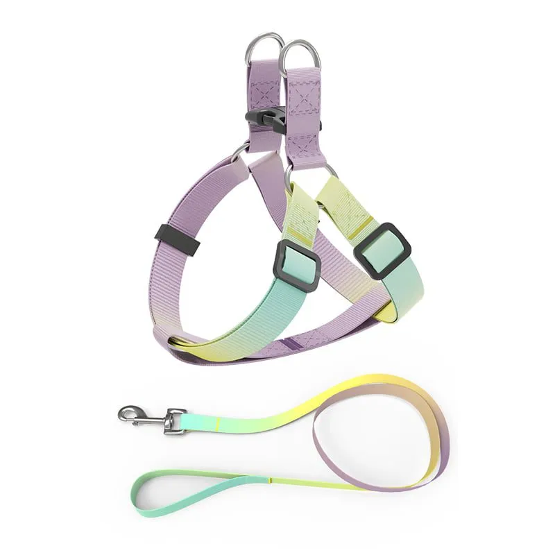Helepet Flat Pet Leash Harness-Plastic Buckle - M, YELLOW RAINBOW