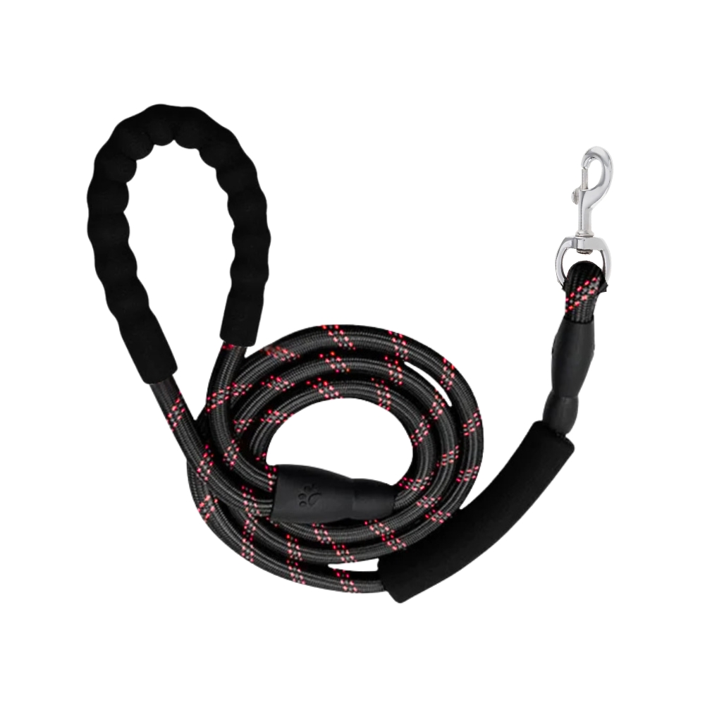 Cozy Paws Nylon Reflective Dog Leash – Black, Medium (150cm)