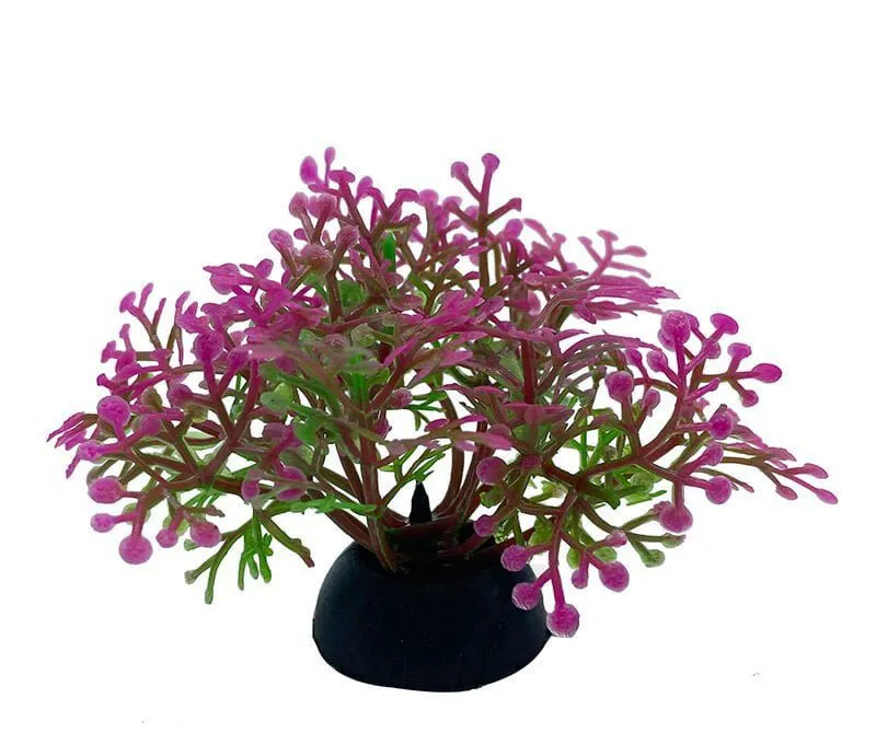 Aquarium Plastic  Plant - S241-W2.5*H5 Cm(Sold By 20 Pcs/Pack Only)
