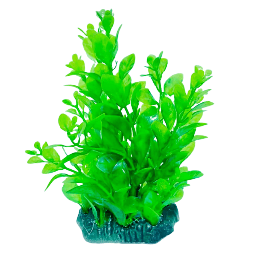 Aquarium Plastic Plant – M404-W7*H13 Cm (Sold By 6 Pcs/Pack)