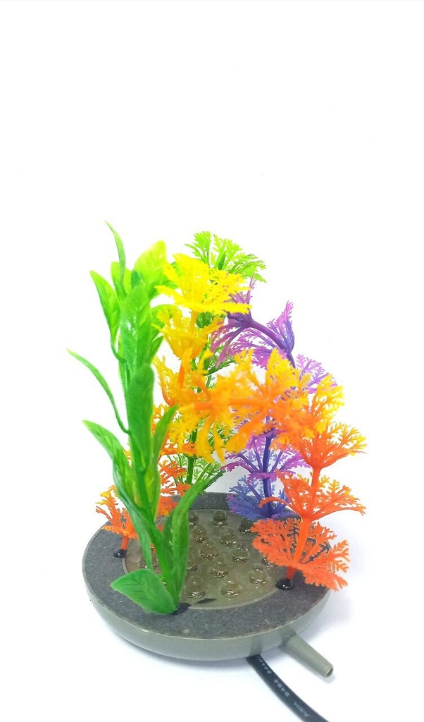 Aquarium Air Stone With Plant, Size 80Mm*13Mm