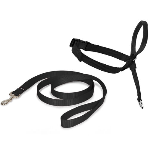 Bobby 3 Positions Walk Leash Black 1.2 x 189 cm
