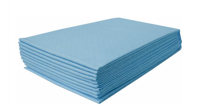 LindoCat Arya Puppy Pads - 60x60 cm / 10-pack with Chlorhexidine