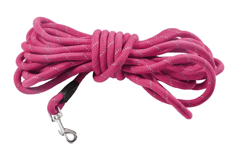 Bobby Leash 10M Walk Fuchsia Pink