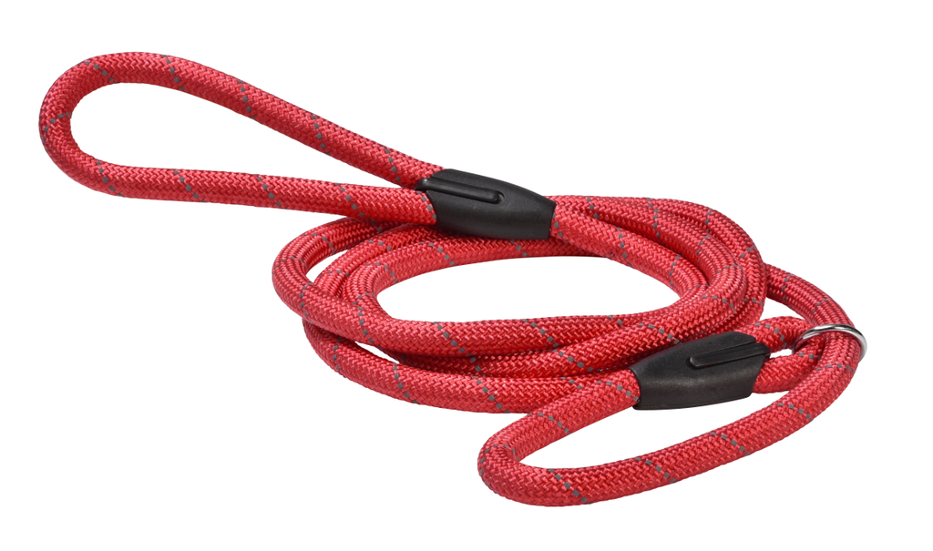 Bobby Leash Lasso Walk Red