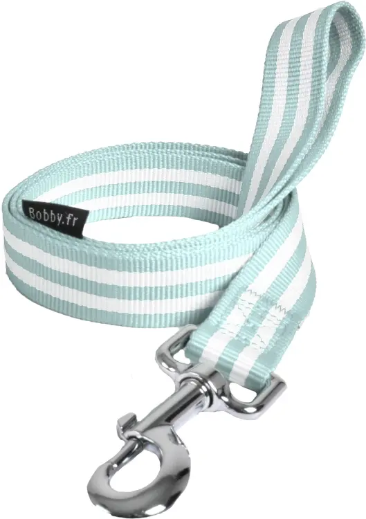 Bobby Leash Stripe Lagoon Large